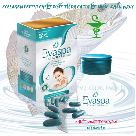 Evaspa nội tiết tố & evaspa collagen cá tuyết chai 30 viên - ảnh sản phẩm 6