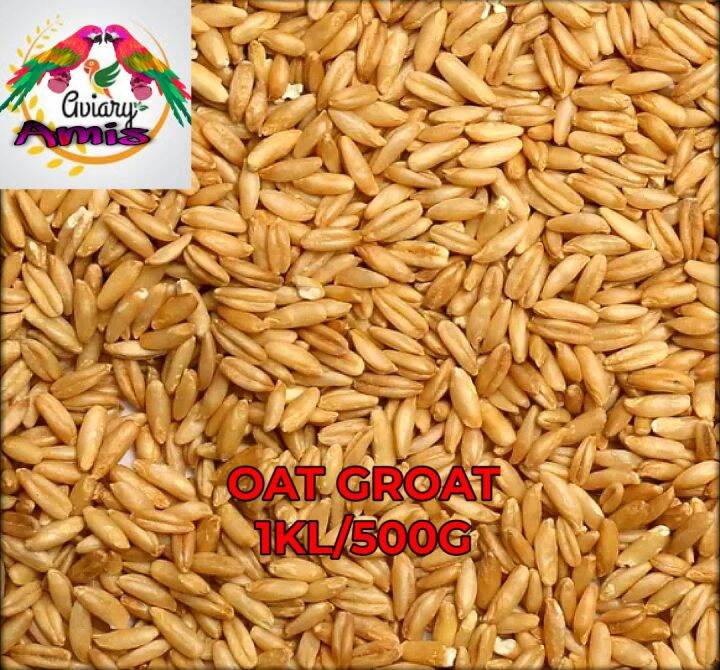 OAT GROAT FOR BIRDS 1 KILO / 500g Lazada PH