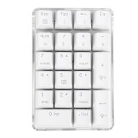 [COD] Gateron BROWN SWITCH คีย์บอร์ดเครื่องกลดิจิตอลแบบมีสายพร้อมเคสคริสตัล, ไฟหลังสีขาว, 21คีย์, Digital Mini-keypad