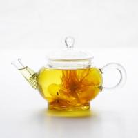 High Temperature Resistance Glass Spring Filter 250ml Glass Tea set Pot Tea Kettle Teapot