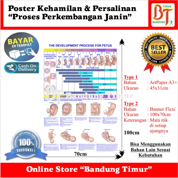 Poster Kehamilan Dan Persalinan Proses Perkembangan Janin Lazada Indonesia