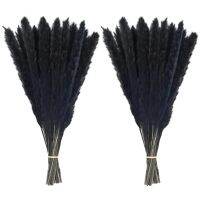 30pcs Dried Pompous Grass Branches Natural Pampas Grass Decor Flower Arrangement Wedding Party Boho Home Decoration Black White