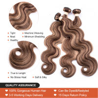 BEAUDIVA Brazilian Body Wave Hair Weave Bundles Highlight Color Human Hair 134 Piece 8-30" Remy Ombre Hair Extensions