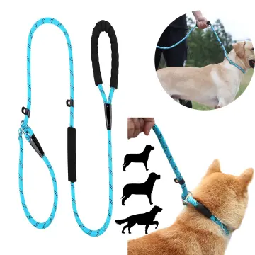 Anti bite dog outlet leash