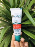 Himalaya Herbals Lip Balm 10 กรัม