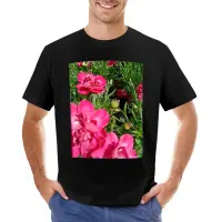 Spring Is Comming T-Shirt Black T Shirts Men Clothes