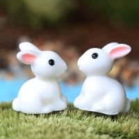 【cw】 2pcs Garden Ornament Miniature Figurine Pot ！