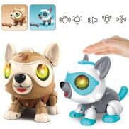 HOT Dog Voice-activated Science Education