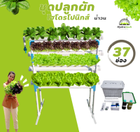 ชุดปลูกไฮโดรโปนิกส์ น้ำวน NFT รุ่น 37ช่อง