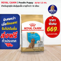 อาหารสุนัข ROYAL CANIN Poodle ลูกสุนัข 2 12เดือน สายพันธุ์พุ๊ดเดิล 1.5 กิโลกรัม