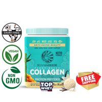 (500g) Sunwarrior Plant Based Collagen Building Protein Peptides with Hyaluronic Acid &amp; Biotin - Tahitian Vanilla – โปรตีนจากพืชและถั่วลันเตาและคอลลาเจน เปปไทด์  กรดไฮยาลูรอนิค ไบโอติน ใน1 ช้อนมีสาสกัดจากธรรมชาติ100% มากกว่า 14 ชนิด