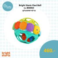 Bright Starts Flexi Ball ลูกบอลตาข่าย รุ่น BS8863