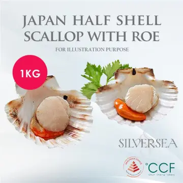 Half-Shell Scallop with Roe - Buy Online - Next Day Delivery