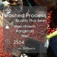 สารกาแฟแม่แจ่ม สารกาแฟPeaberry สารกาแฟน่าน Washed Process 1000g A-AA