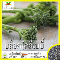 เมล็ดพันธุ์ เบบี้บล็อคโคลี่ 400เมล็ด Green Sprouting Broccoli เมล็ดพันธุ์แท้100% นำเข้าจากต่างประเทศ ปลูกผัก สวนครัว ราคาถูก