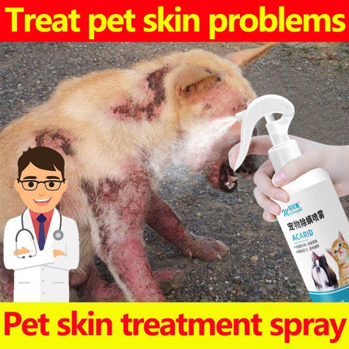 500ml Pet Skin Treatment Spray for Dogs and Cats Pet Anti Fungal Itchy