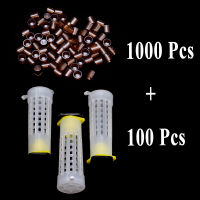 1ชุดเครื่องมือการเลี้ยงผึ้งอุปกรณ์ Queen Rearing ระบบ Cultivating กล่องกรงป้องกันพลาสติก Bee Cell ถ้วยถ้วยชุดอุปกรณ์