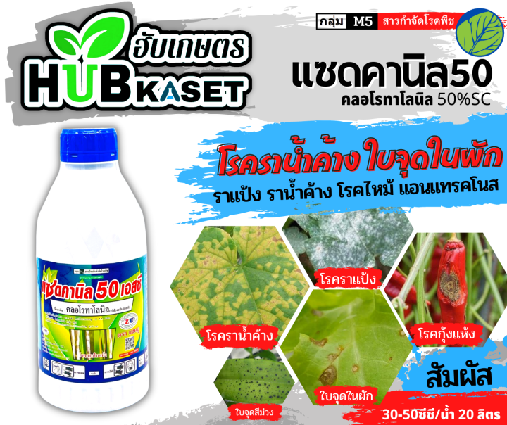 แซดคานิล50-1ลิตร-คลอโรทาโลนิล-ป้องกันเชื้อรา-โรคใบไหม้-ราน้ำค้าง-ราแป้ง