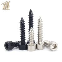 Self tapping hexagon head screw  304 stainless steel / carbon black m2.6 M3.5 M4 M5 Nails Screws Fasteners