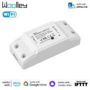 MILEST Cuộc sống thông minh Google Giọng nói ứng dụng 110V 220V 10A Tự