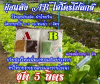 ปุ๋ยแห้ง AB ผักสลัด ผักไทย ชุดคู่ 5 ลิตร