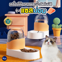 Royalty Pets เครื่องให้อาหารและน้ำสัตว์เลี้ยงอัตโนมัติ รุ่นแซลมอน ชุดให้อาหารพร้อมน้ำ ชามข้าว ชามอาหาร หมา แมว RY179