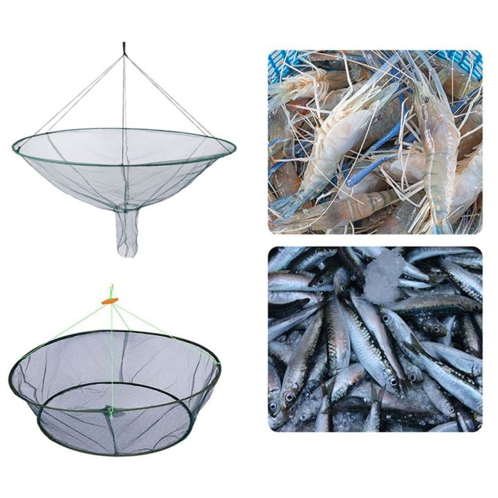BMMH For Fishing Boat Foldable For Fish Eels Trap Drop Fishing Landing Net  Cage Prawn Bait Cage Prawn Bait Fishing Net Case Fish Eels Trap/Cage For  Fish Eels Trap Drop Fishing Crayfish/Shrimp