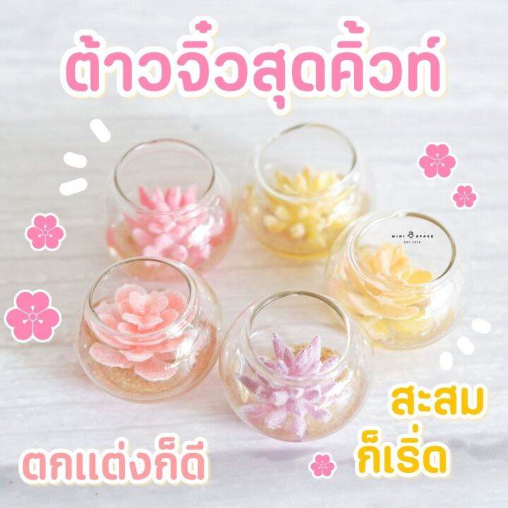 ms5135-โมเดลกระบองเพชรปลอมโหลแก้ว-โหลกระบองเพชร-ถ่ายจากสินค้าจริง-จากไทย