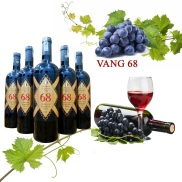 Vang Ý Italia 68 nhập khẩu