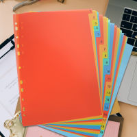 FICUESTORE【New】 20 แผ่น A4 Binder Divider File Divider Subject Divider สำหรับ Binder Notebook สำหรับสำนักงานโรงเรียน