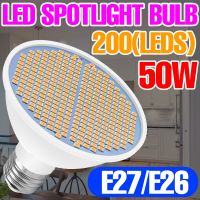 หลอดไฟ E27ไฟสปอร์ตไลท์ LED 220V ไฟสนาม30W 50W 80W หลอดไฟประหยัดพลังงานข้าวโพด110V 2835 GU5.3