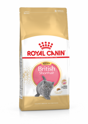 แบ่งขาย Royal canin British Shorthair Kitten 1 กก. สำหรับ แมวเด็ก พันธุ์ บริติช