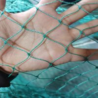 Heavy Anti Bird Netting Net Garden fence and Crops Protective Fencing Mesh Anti Bird Deer Cat Dog Chicken Net Fishing Net