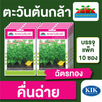 ผักซอง ตะวันต้นกล้า SP คื่นฉ่าย ฉัตรทอง บรรจุแพคล่ะ 10 ซอง ราคา 64 บาท