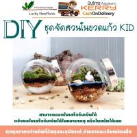 ชุดจัดสวนขวด DIY KIT เซ็ท A 239฿ มีของพร้อมส่ง