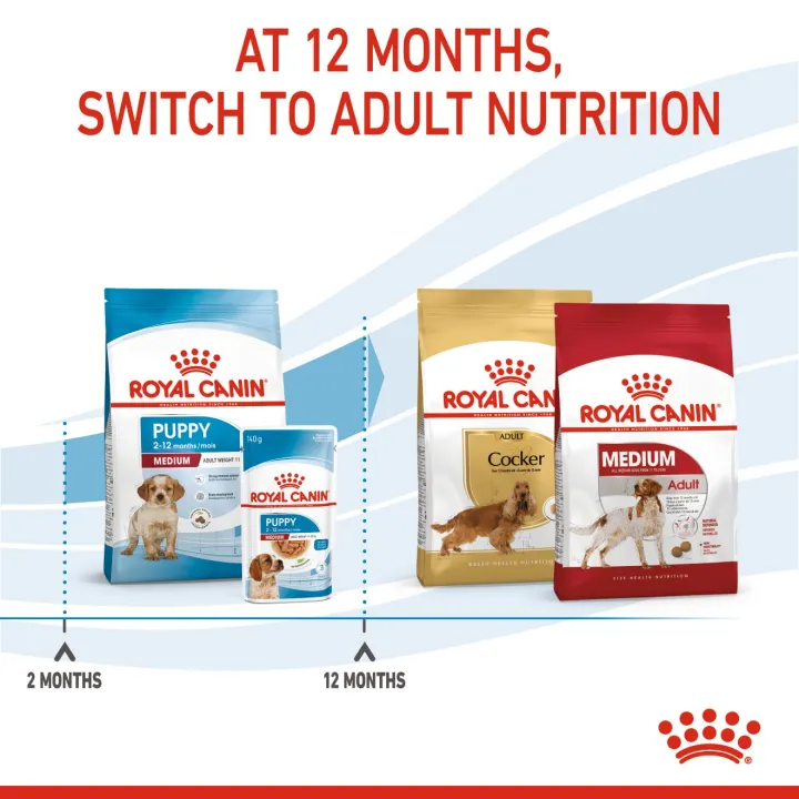 หมดอายุ7-24-royal-canin-medium-puppy-10-kg-อาหารลูกสุนัขพันธุ์กลางอายุไม่เกิน-12-เดือน-ทุกสายพันธุ์