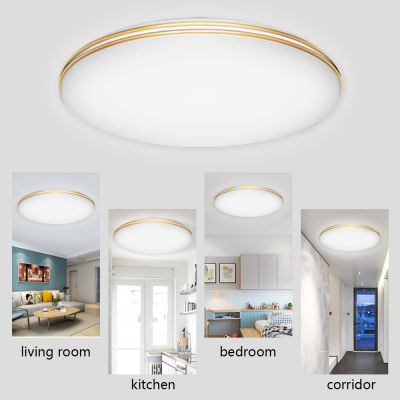 VIPMOON Modern Pendant Lamp Led 12W18W24W48W Ceiling Chandelier Decor Living Dining Room Home Kitchen Bedroom Hanging Lights