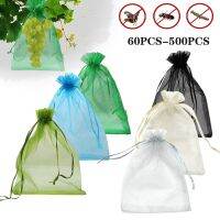 ❦﹉✙ 60-500PCS Garden Fruit Protection Bag Grape Insect-proof Bird-proof Bagging Strawberry Apple Breathable Pocket 6 Size And Colors