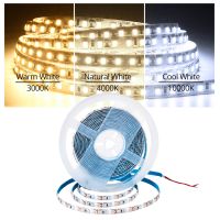 5M 2835 SMD Led Strip Light 12V 24V Flexible Diode Tape 120/168/180/204/240 LED Per Meter 3000K 4000K 1000K Tira Fita LED Ribbon