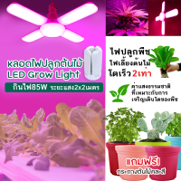 หลอดไฟปลูกผักไฮโดรโปนิกส์ led grow light ขั้วE27 hydroponics สวนผักออแกนิค ประหยัดไฟ ไฟปลูกพืช ไฟเลี้ยงต้นไม้โตเร็ว2เท่า จตุจักร