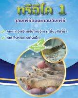 [แพค 9 ซอง] จุลินทรีย์ทรีอีโค่ สายพันธุ์ ประมง ปม.1 จำนวนตัวเยอะกว่าหลายเท่า บำบัดน้ำเสีย ย่อยสลายสารอินทรีย์ บ่อกุ้งต้องมี