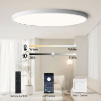 0.9inch Ultra-thin Ceiling lamp Smart APPRemote Control LED Ceiling lights for Room Dimmable Panel light for Living Room Kichen