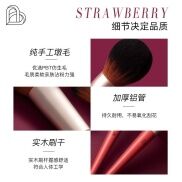 Bộ Cọ Trang Điểm Cọ Trang Điểm BLJ Và Lê Bộ Cọ Trang Điểm Màu Đỏ Phấn Mắt