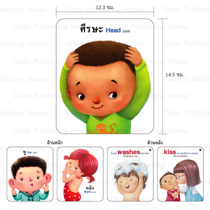ห้องเรียน-flash-card-บัตรคำศัพท์ประกอบภาพ-ร่างกายของฉัน-บรรจุบัตรภาพ-32-แผ่น-สอนคำศัพท์ไทย-อังกฤษ
