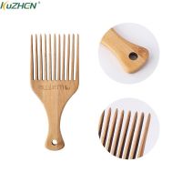 【CC】 Anti-static Hair Pick Comb Scalp Massage Detangling Combs Afro Lift Styling Accessories