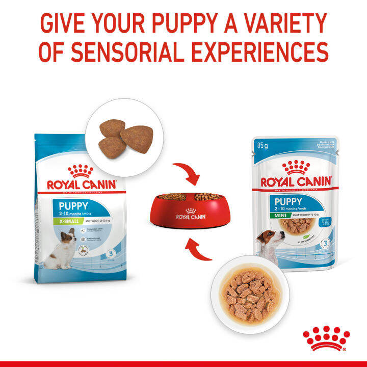 royal-canin-x-small-puppy-โรยัล-คานิน-อาหารเม็ดลูกสุนัข-พันธุ์จิ๋ว-อายุ-2-10-เดือน-3-กก-อาหารเปียกลูกสุนัข-พันธุ์เล็ก-85-ก-x-12-ซอง