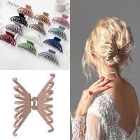 MISCAR 2PCS อะคริลิค คลิปหนีบผม จัดแต่งทรงผม Barrettes บาร์เร็ตต์ ผิวด้าน อุปกรณ์เสริมผม ที่หนีบผม ที่หนีบผมผู้หญิง กิ๊บหนีบผม