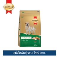 [ส่งฟรี] สมาร์ทฮาร์ท โกลด์ โฮลิสติก อาหารสุนัข โตพันธุ์กลาง-ใหญ่ 3 กก. / SmartHeart GOLD  Holistic Adult 3 kg. rch-1