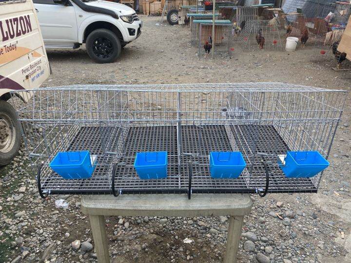 Rabbit Cages 4 Doors Lazada PH