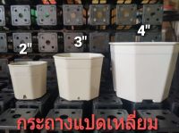 กระถาง8เหลี่ยม ขนาด2นิ้ว แพค50ใบ สีขาว สำหรับเพาะปลูก ปลูกแคคตัส ปลูกต้นไม้